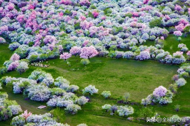 毕业旅行适合去的地方，我们去哪玩？国内适合毕业旅行的地方（全年最佳旅行地全在这儿）