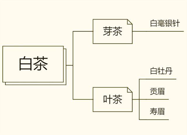 六大茶类基本知识，六大茶类基本常识（图解六大茶类）