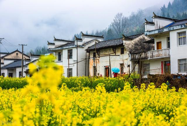 徽派建筑的四大特点，徽派建筑的特点主要特点是什么（徽州故事—徽派建筑）