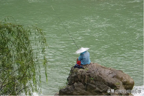 走水中如何钓鱼，走水怎样钓鱼（掌握这几条“法则”）