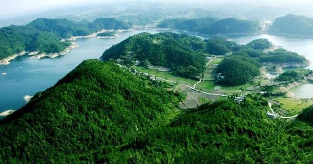英山四季花海好玩吗，四季花海旅游攻略（四季花海五周年：一座天然氧吧）