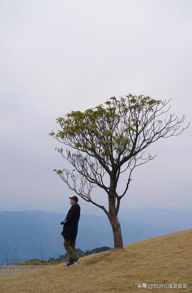 玻璃桥旅游景点在哪里，张家界玻璃桥著名旅游景点（屹立在川东的地质公园）