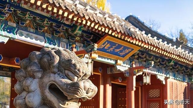 武汉和南京哪个教育好，南京教育和上海教育哪个好（武汉理工大学、合肥工业大学、南京理工大学）