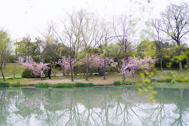 扬州最好吃的特色餐馆，盘点扬州最好吃的5家餐厅