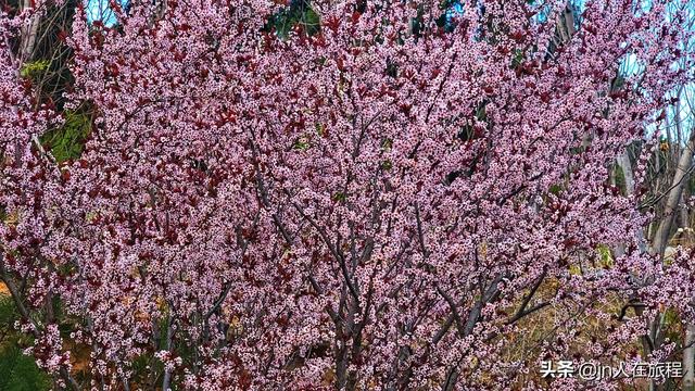 厦门龙洞风景区，厦门龙洞风景区门票多少（厦门龙洞：罕见的峡谷地貌）