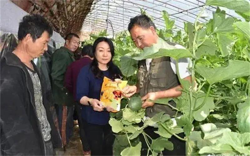 投资小的加盟店(加盟冰雪蜜城电话号码)
