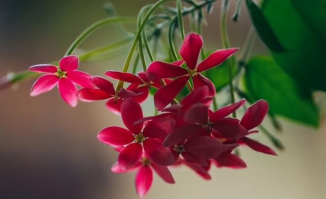 喜欢又不想在一起是什么心理，喜欢但是不想在一起的心理（好像不够爱，却又舍不得分开）