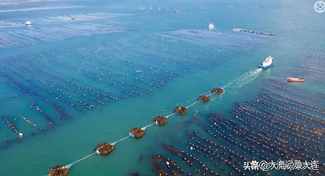 大连是几线城市，大连理工大学城市学院是几本大学（大连市究竟是新一线城市）