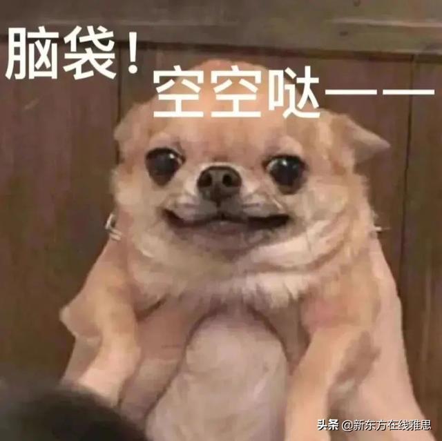雅思好考吗，考一次雅思的费用（真有人雅思只考3.5分）
