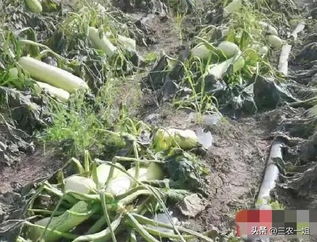 2022年雨水具体时间在几月几号几点几分几秒，雨水时间2021几点几分（明日5号大雨范围确认）