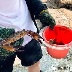 厦门游玩攻略，厦门游玩攻略4天自由行（超实用的厦门3-5天自由行攻略）