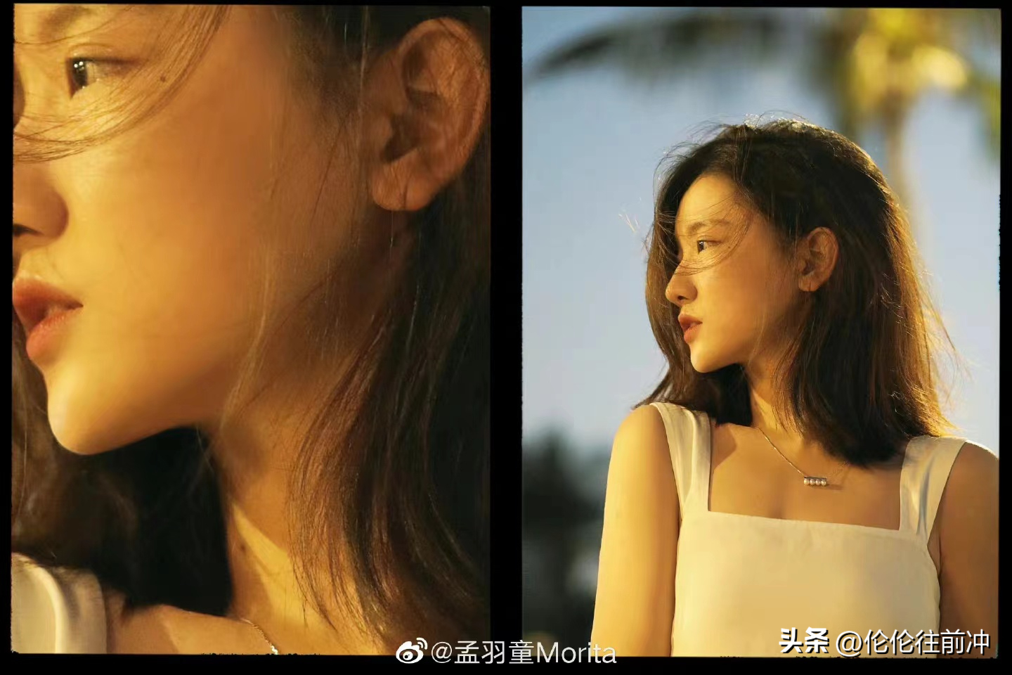 “董明珠接班人”孟羽童为何消失了？孟羽童为什么被提前辞退？