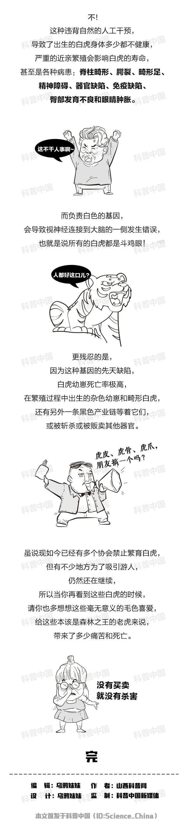 老虎是什么颜色，为什么老虎是金黄色的（为什么有的老虎是白色的）