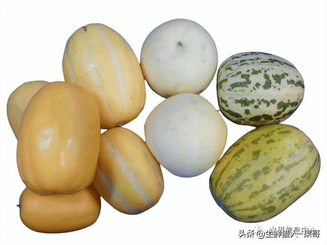 绿色的哈密瓜叫什么，绿色的哈密瓜叫什么名字（哈密瓜、蜜瓜、网纹瓜、香瓜、羊角蜜傻傻分不清）