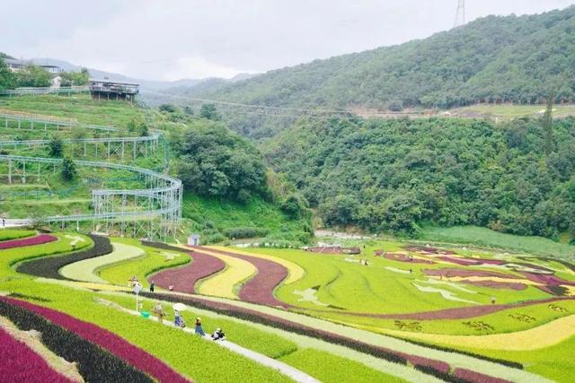 昆明周边哪里好玩，昆明周边好玩的地方自驾游（昆明周边的5个小众“世外桃源”）