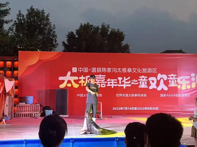 容易表演的小节目，表演的节目有哪些（陈家沟景区上演海狮表演）