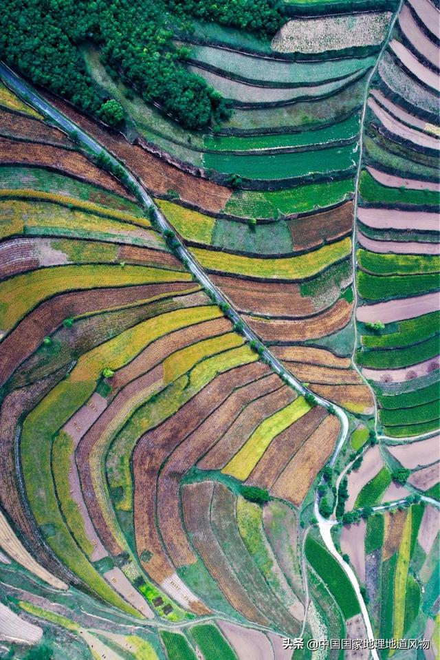 甜津津的食物有哪些，甜津津的食物有哪些呢（最地道的甘肃风味）
