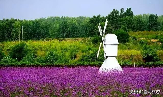 黄岛旅游景点，黄岛有什么景区（黄岛景点有哪些）