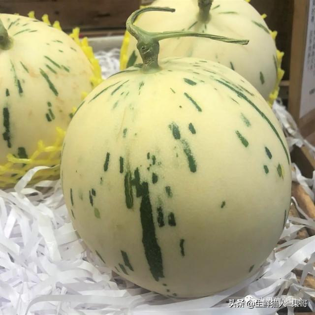 绿色的哈密瓜叫什么，绿色的哈密瓜叫什么名字（哈密瓜、蜜瓜、网纹瓜、香瓜、羊角蜜傻傻分不清）