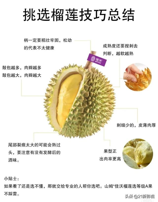 榴莲有什么品种，榴莲的品种有几种（榴莲品种大盘点）