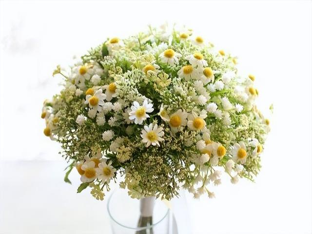 白羊座和白羊座，白羊座男生和白羊座女生的星座配对（可以为你遮风挡雨）