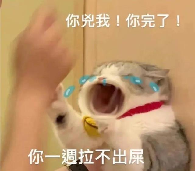 哼唧唧歪歪，微信头像，哼唧唧歪歪（猫猫狗狗表情包/哼哼）