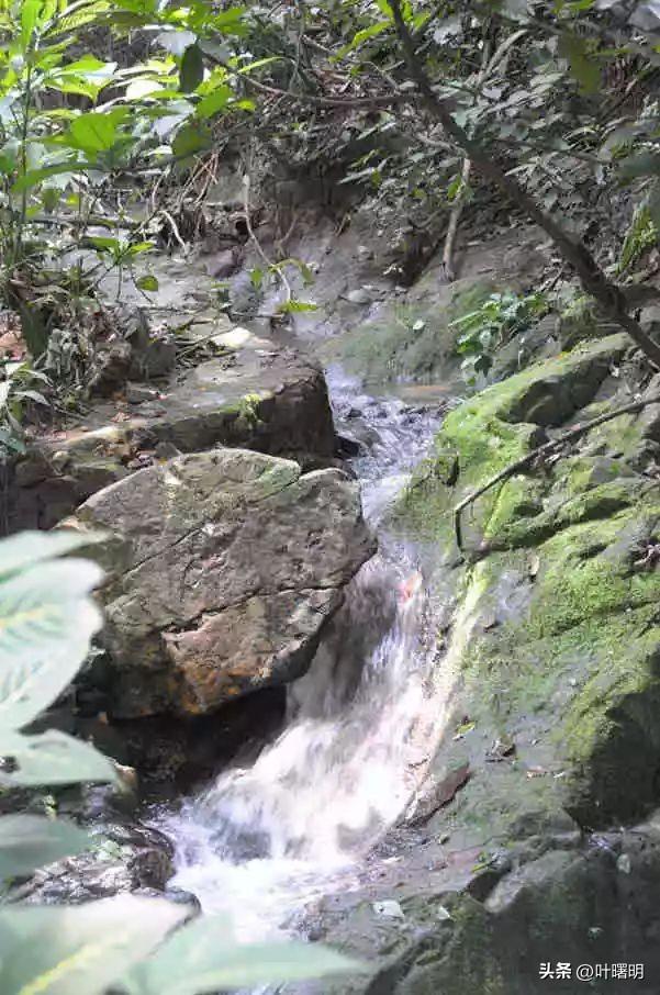 广州白云区最旺的寺庙，白云山有座蒲涧寺？