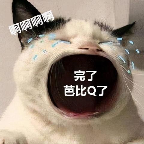 芭比是什么意思，女人喊男人芭比是什么意思（2021年的这些梗）