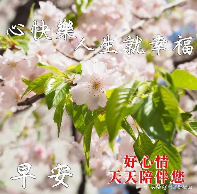 祝福事业的祝福语，事业的祝福语有哪些（5月24日清晨早上好图片问候带字语句）