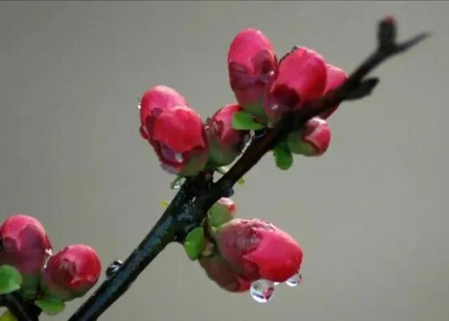 陪伴的唯美句子，余生陪伴的唯美句子（你我不相负；爱你）