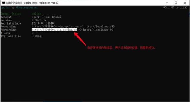 如何在Windows上搭建web站点，并发布到公网？1-1