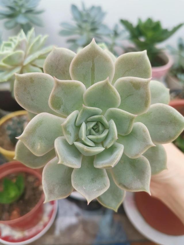 有哪些好听的网名，好看又好听的网名400个（都是些什么名字呢）