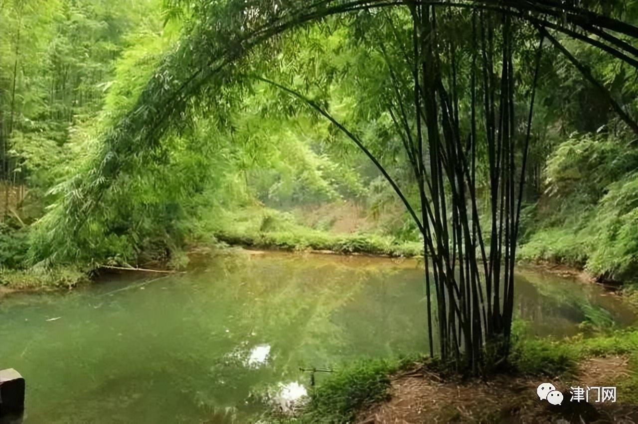 成都附近一日游最佳景点推荐，成都一日游景点推荐（成都周边一日游拍照景点推荐）