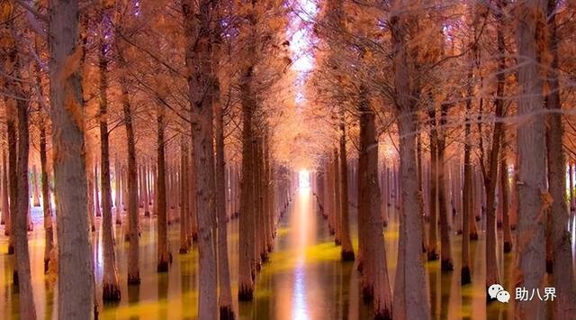 昆明旅游景点，昆明旅游景点一日游（昆明必打卡的30个小众上镜地）