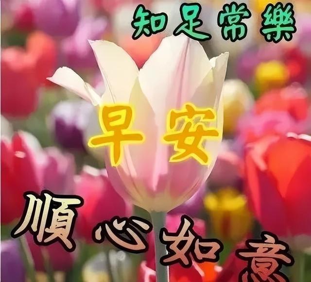 寓意吉祥的图片高清版，寓意吉祥的图片高清版大图（2022最新早上好表情包）