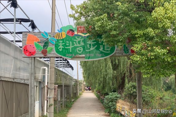 亲子游去哪里玩比较好，暑期亲子游（国内最具特色的十大亲子农场推荐）