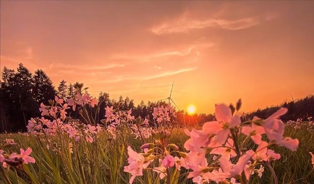 女生裙装穿搭，女生裙装穿搭图（4条半裙、15套穿搭）