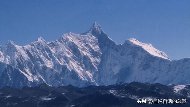 塔黄是什么植物，它被藏民预言为末日神山