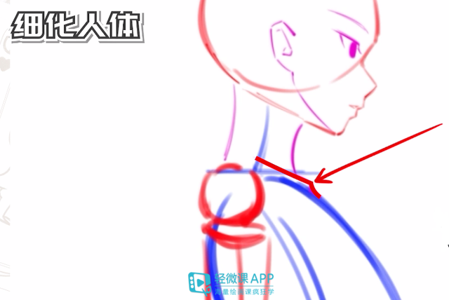 如何画好动漫人物基础入门，初学零基础入门画漫画手绘教程教学习（侧面人体动漫画法教学）