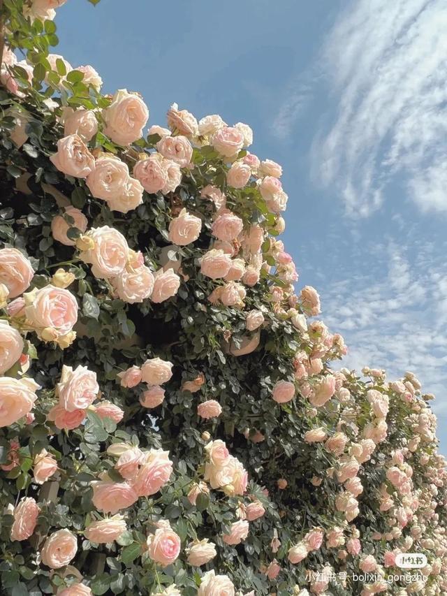 初中毕业能上哪些技校，初中毕业上什么技校（初中毕业有哪些技校）