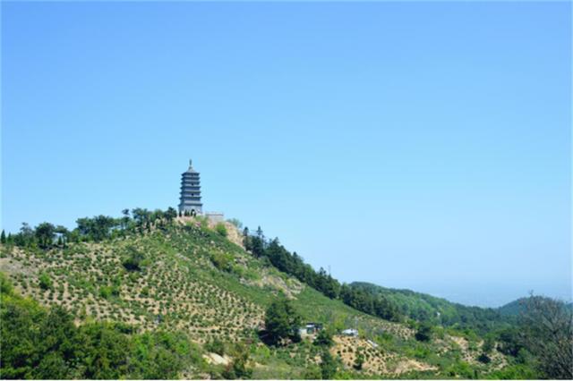 河南好茶推荐，行走河南·读懂中国丨信阳