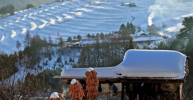 想念的诗句，带有想念的诗句（总怀念故乡的味道）