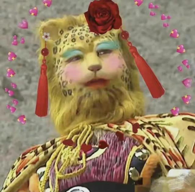 金钱豹头像图片，金钱豹头像✨微信（最全金钱豹头像！请叫我谢谢）