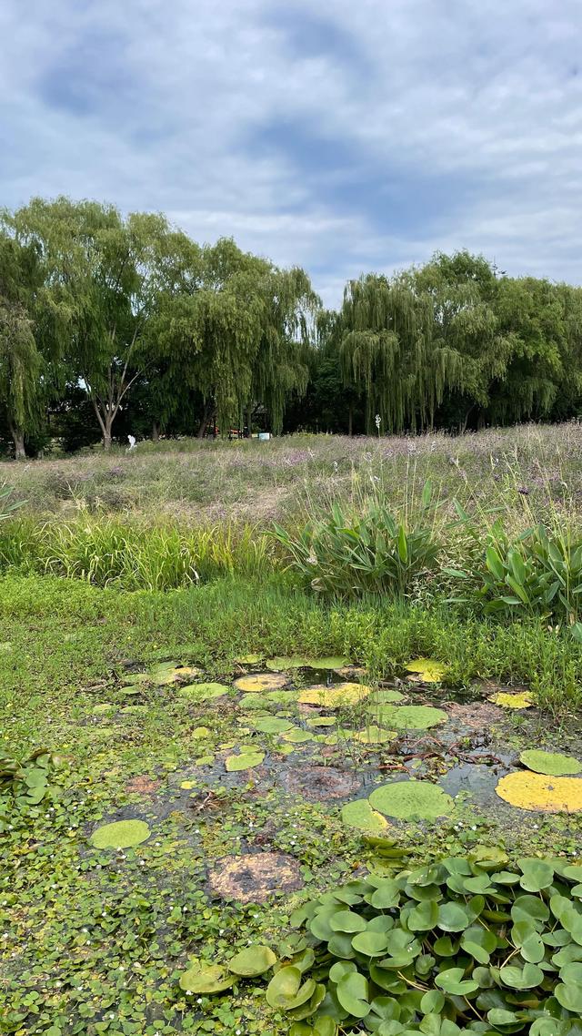 上海到青岛多远，上海到青岛的路程（上海青岛往返1400公里全程无高速沿途城市蜻蜓点水游）