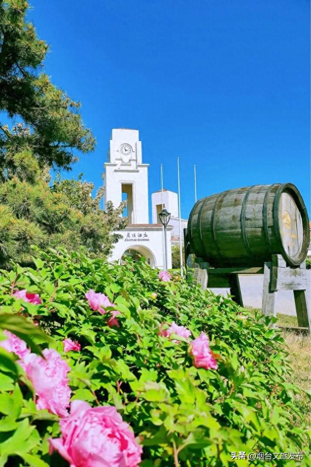 打卡烟台这个宝藏酒庄，开启浪漫葡萄酒之旅！