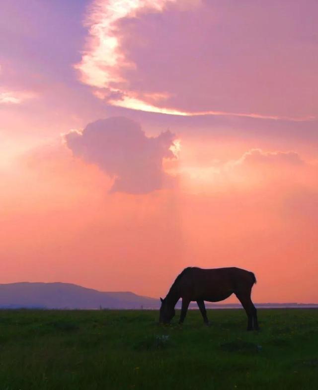 落日余晖图片，落日余晖（壁纸：黄昏夕阳）