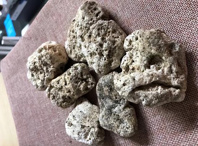 浮石属于哪种岩石，钱塘江闸口有人捡到白色浮石（浮石属于什么岩）
