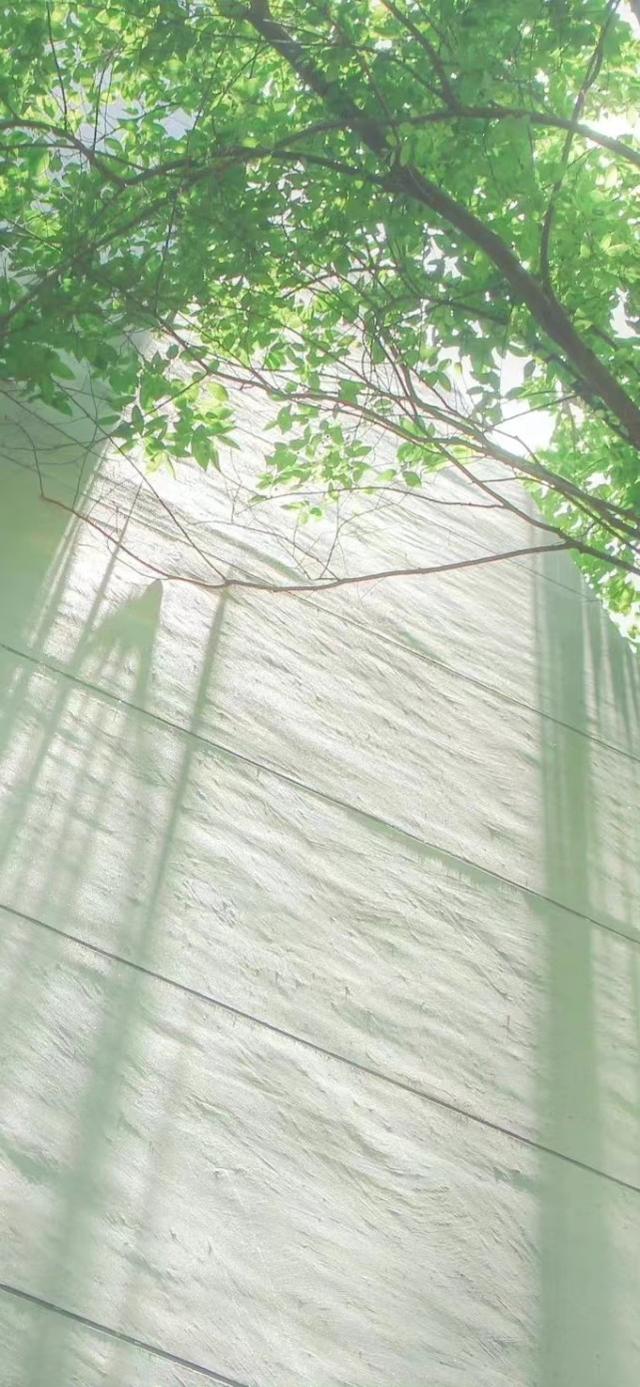 腼腆是什么意思，男生腼腆是什么意思（还有点腼腆的三大星座男）