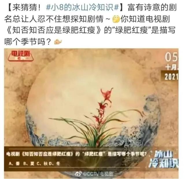 分享五部值得一看的电视剧，被央视点名表扬力荐的10部剧