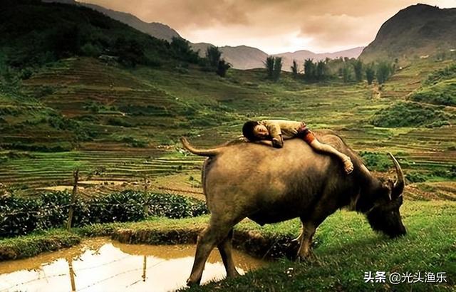 蜱虫有毒吗，蜱虫的危害（小时候拿来当“玩具”的蜱虫）